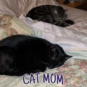 Meet your Posher, Angela